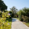 Sentiero tra giardini fioriti e alberi.