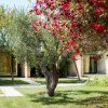 Giardino con albero e fiori rossi in fiore.