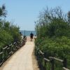 Sentiero di legno tra la vegetazione verso il mare.