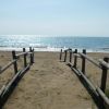 Passerella sabbiosa conduce alla spiaggia soleggiata.