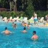 Persone si divertono in una piscina all'aperto.