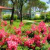 Giardino con fiori rosa e casette tra gli alberi.