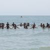 Cerchio di persone in acqua al mare.