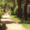 Viale alberato con case mobili e siepi verdi.
