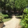Un sentiero sterrato circondato da verde e alberi.