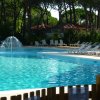 Piscina con getto d'acqua, circondata da lettini e alberi.