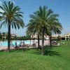 Piscina all'aperto con palme e prato verde.