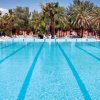 Ampia piscina con palme e lettini.