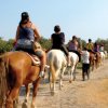 Persone a cavallo su un sentiero.
