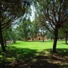 Parco verde con alberi e prato ben curato.