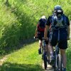 Ciclisti su un sentiero verde in campagna.