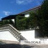 Scala esterna di una casa bianca con piante.