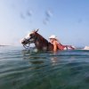 Cavallo e persona nuotano nel mare.