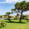 Giardino con prato e alberi.