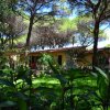 Casette immerse tra gli alberi.