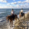 Due persone a cavallo camminano lungo la spiaggia vicino al mare.