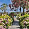Sentiero fiancheggiato da fiori e palme.