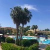 Piscina con palme e persone intorno.