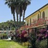 Un giardino con palme e bouganville davanti a un edificio giallo.