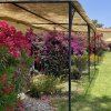 Portico coperto con fiori colorati e giardino verde.